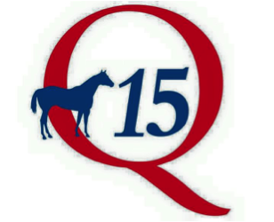 Q15-Logo